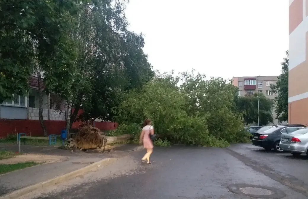 1.07.2019. Последствия урагана в Речице. Фото