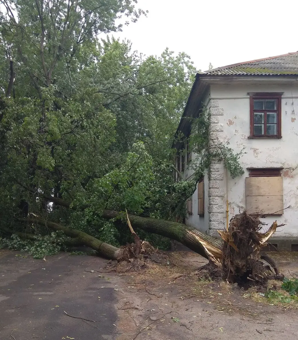 1.07.2019. Последствия урагана в Гомеле. Фото читателя «ВБ» Сергея