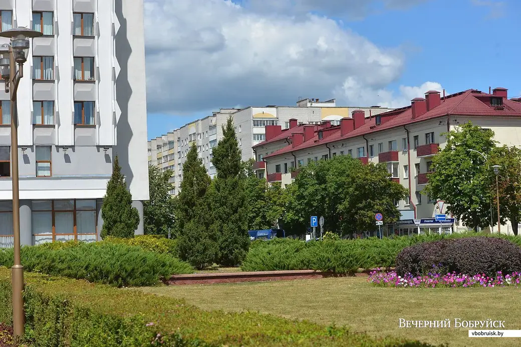 04.07.2019, Бобруйск. Место, где фейерверк поджег кусты. Фото Александра Чугуева