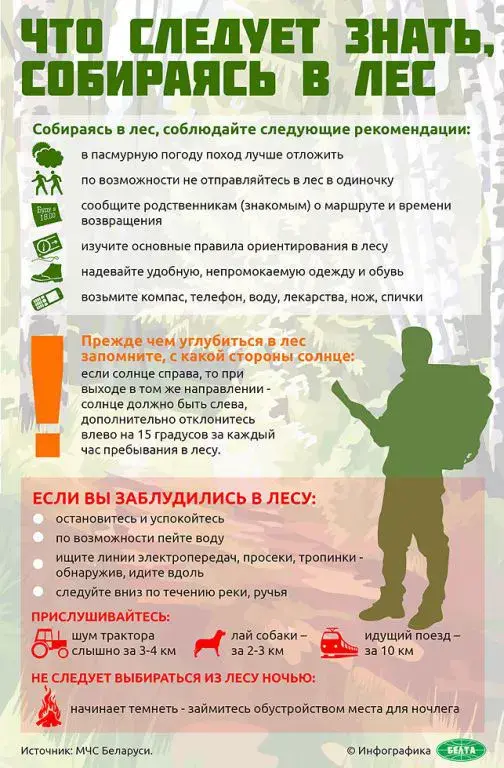 Инфографика БЕЛТА