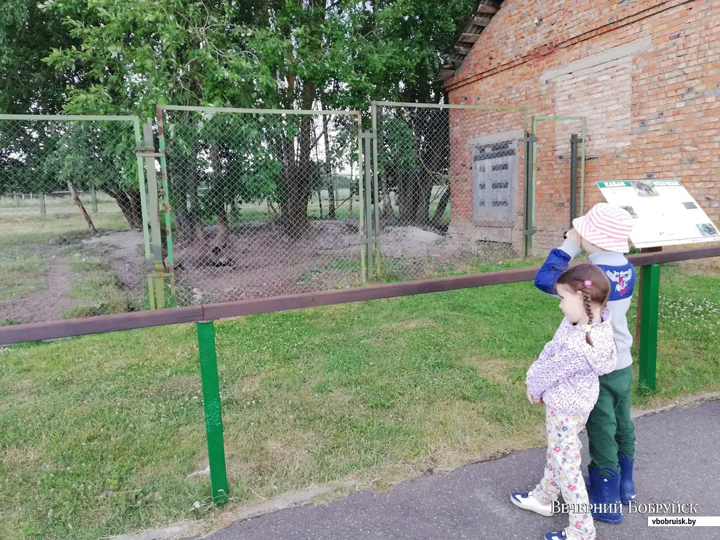Зоопарк в деревне Мекяны.