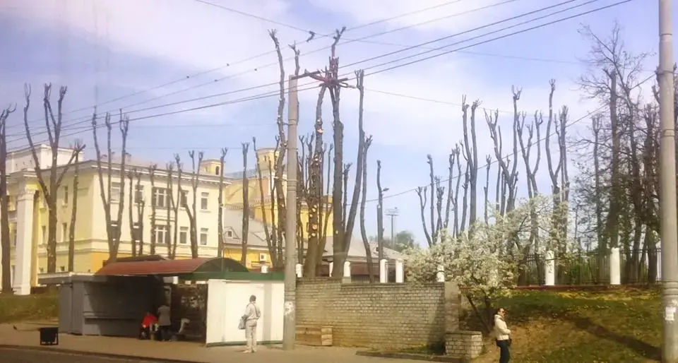 Фото: ТРК Могилев