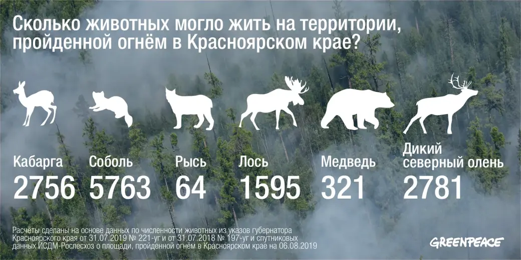 Инфографика: greenpeace.