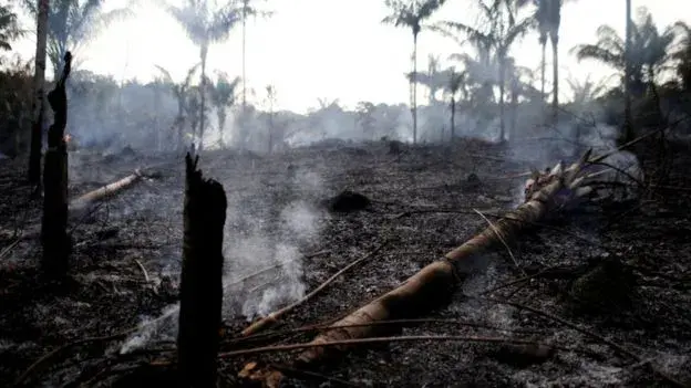 Фото Reuters
