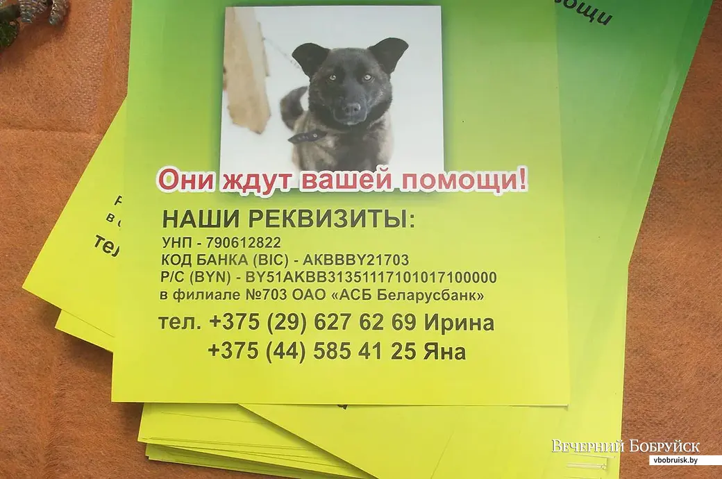 Реквизиты БООЗЖ «Добродетель».