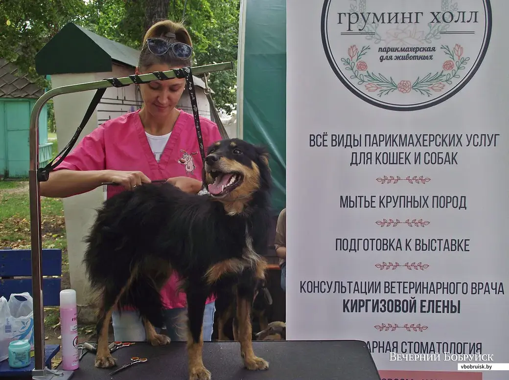 25.08.2019. Благотворительная акция «Бездомный – не значит чужой» в бобруйском городском парке.