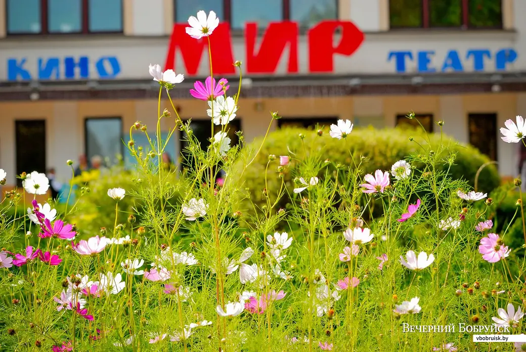 07.09.2019. Велофестиваль «Velo Boom» в городском парке