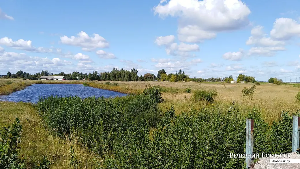 4.09.2019. Виталий Зеленин заметил бусла тут, но тот снова улетел...