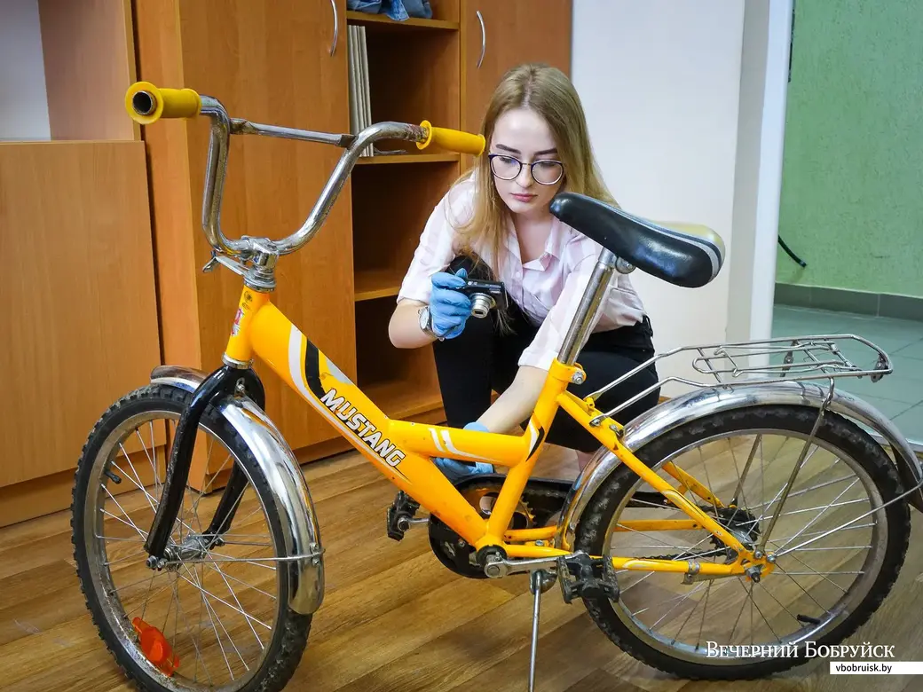 30.08.2019. Государственный судебный эксперт сектора специальных и технических экспертиз экспертно-криминалистического отдела Бобруйского межрайонного отдела ГК судебных