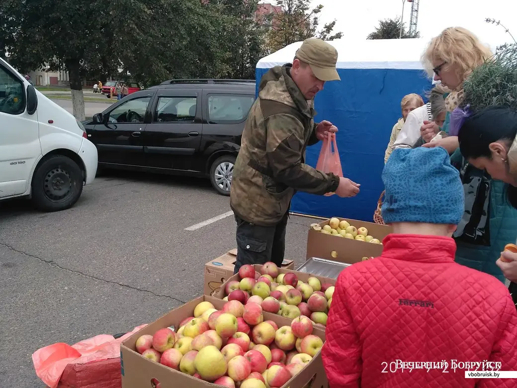 В Бобруйске начались сельскохозяйственные ярмарки.