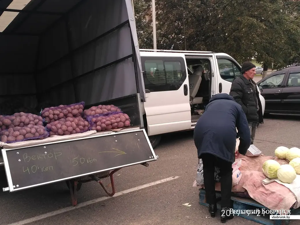 В Бобруйске начались сельскохозяйственные ярмарки.