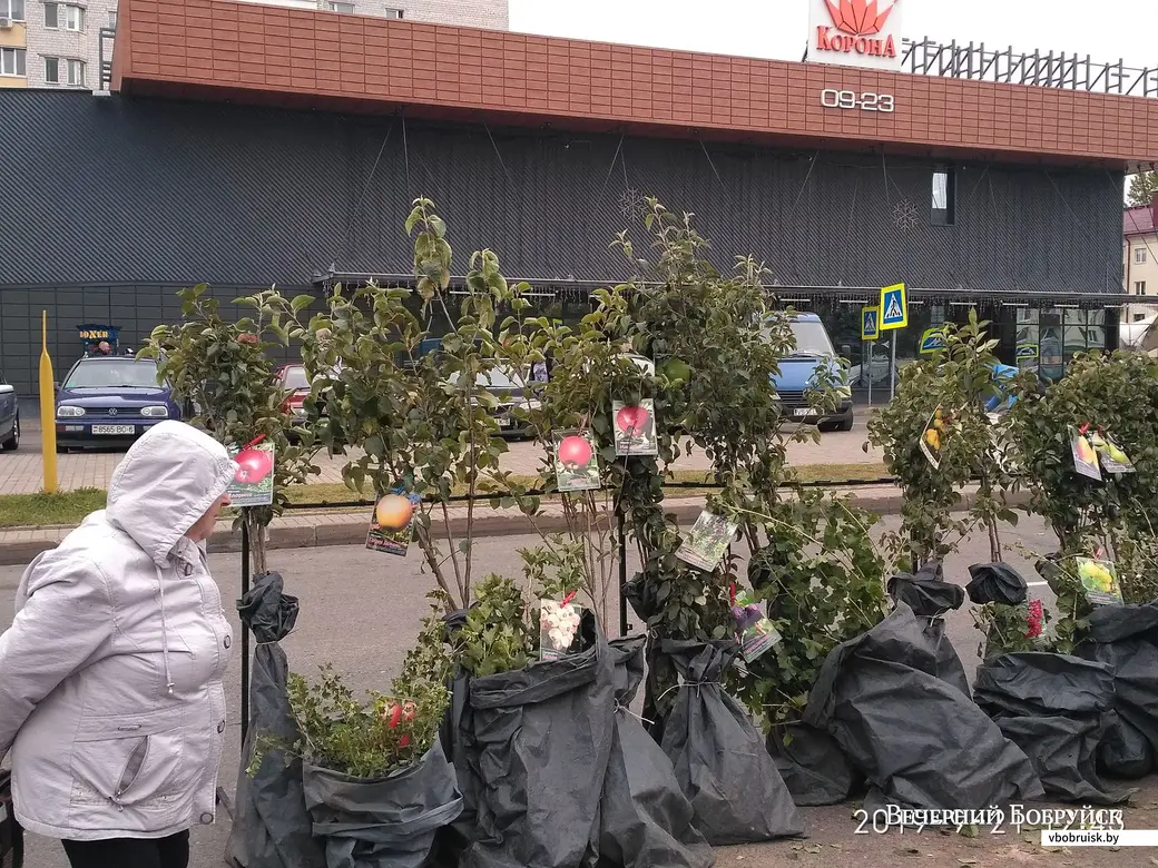 В Бобруйске начались сельскохозяйственные ярмарки.
