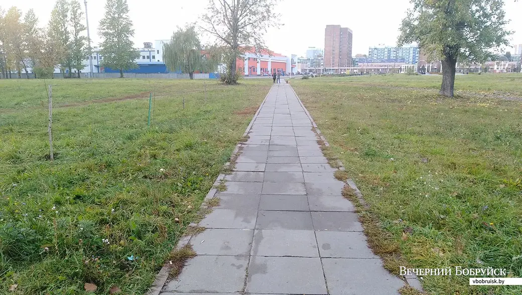 Так стало в конце сентября. На месте скошенных каштанов появились акации.