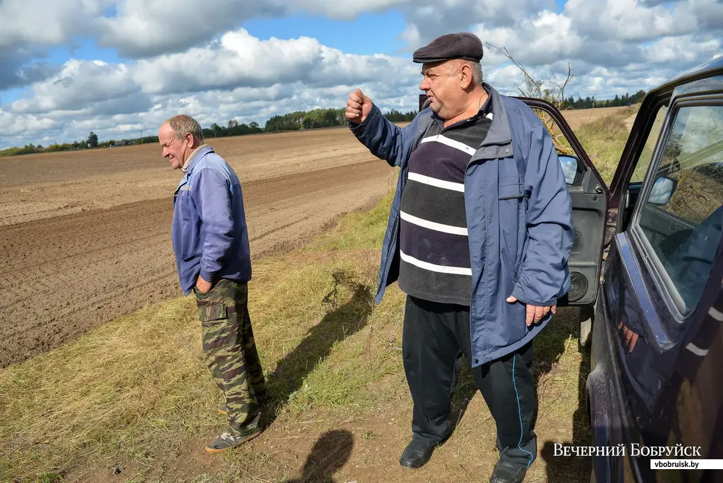 23.09.2019. Фермерское хозяйство «Гайшун» в деревне Осово Бобруйского района . Глава хозяйства Владимир Гайшун.