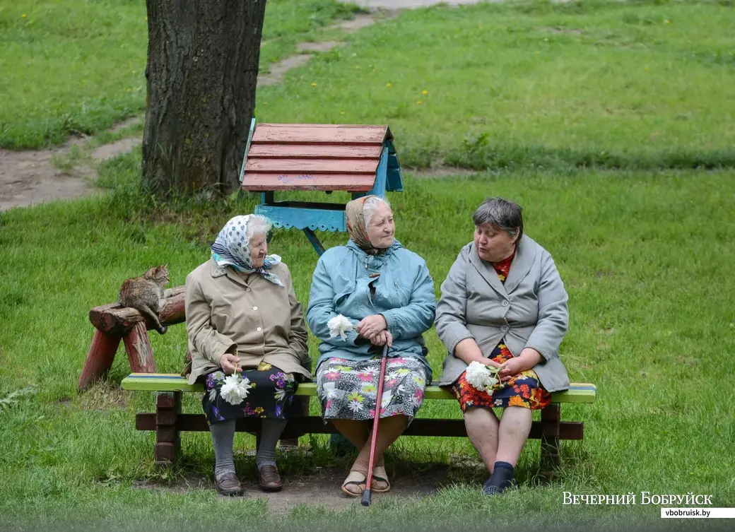 Фото из архива «ВБ».