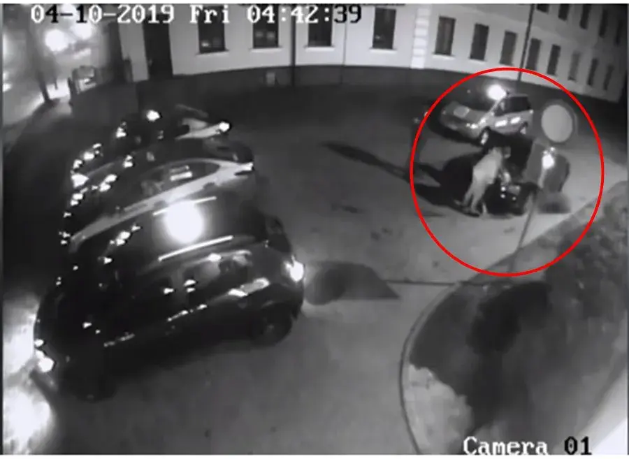 В туалете ночного клуба — Video | VK