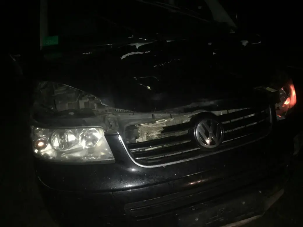 10 октября в 19.50 на 36-ом километре автодороги «Бобруйск-Мозырь» водитель автомобиля Volkswagen Multivan наехал на выбежавшего на проезжую часть лося. Фото: Бобруйский