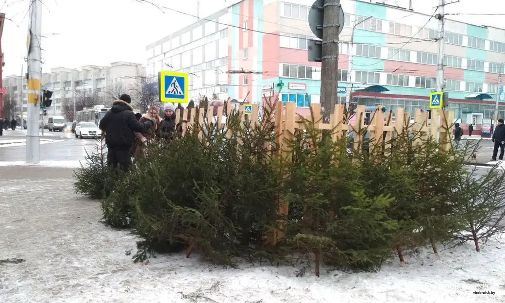 21.12.2018. Елочный базар на Минской напротив Дома связи. Фото: Ирина КУПЦЕВИЧ.