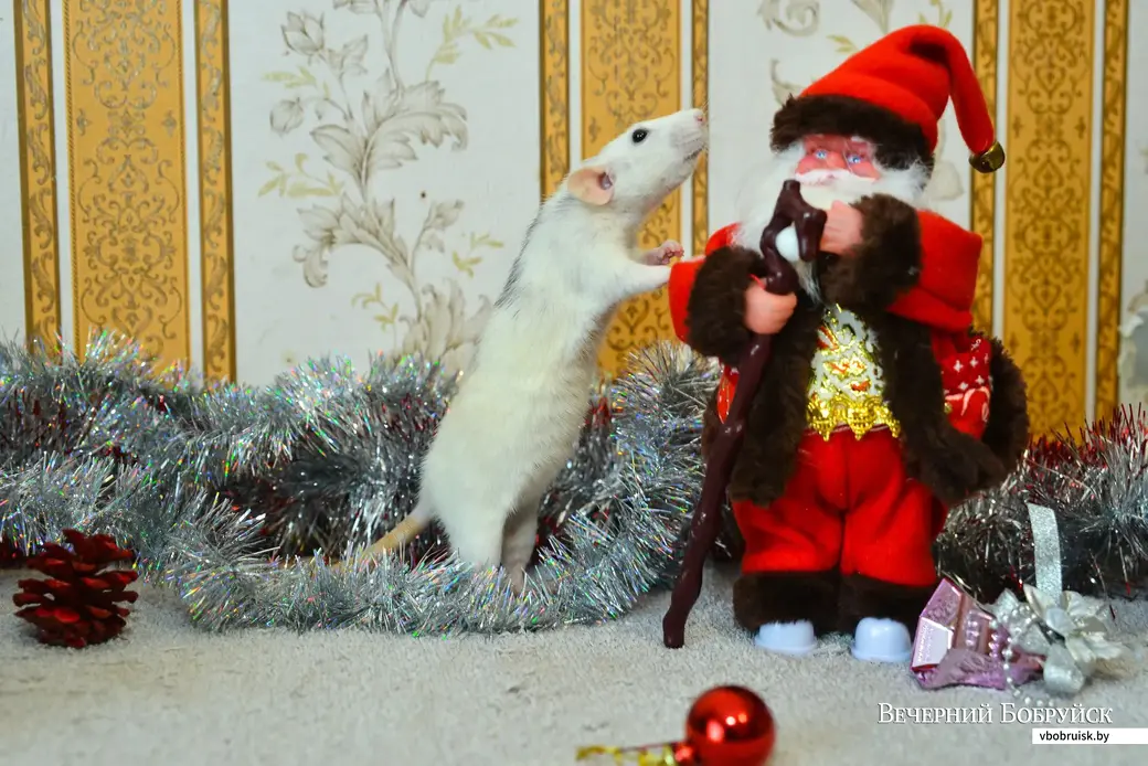 06.12.2019. «Дедушка Мороз, дай нам счастья в новом году и долгих лет жизни!»