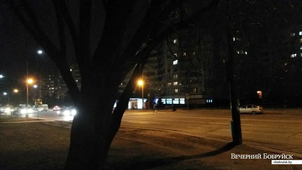 19.12.2019. Бобруйск, ул. Ульяновская. 6-летний мальчик застрял на дереве.