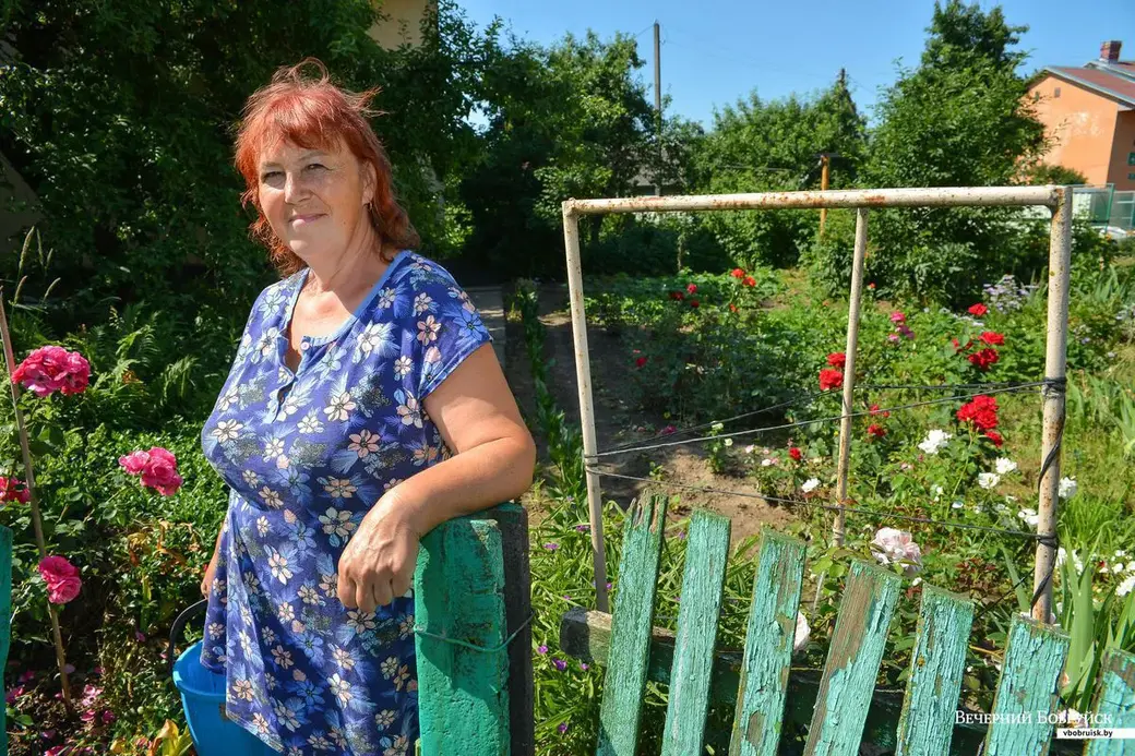 21.06.2019. Светлана Кричко из деревни Химы Бобруйского района выращивает на своем участке внушительный урожай клубники.