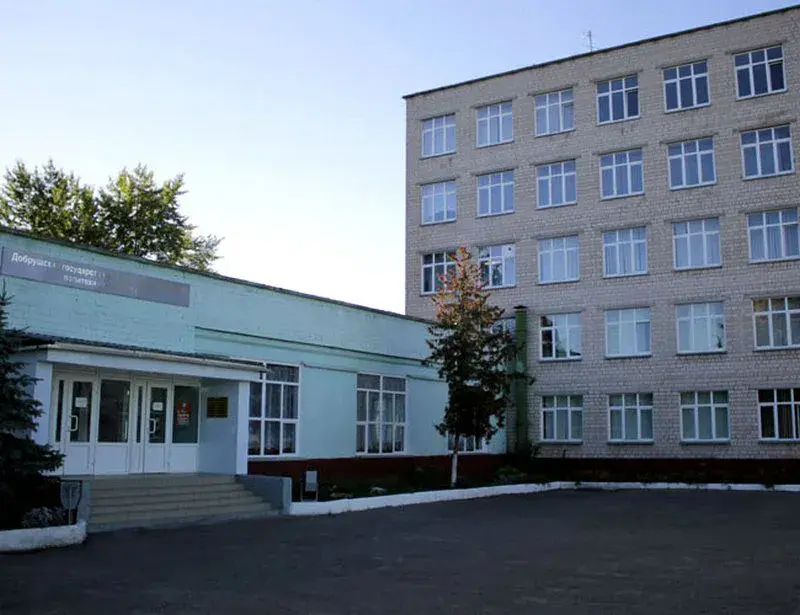 Добрушский политехнический лицей. Фото с сайта лицея