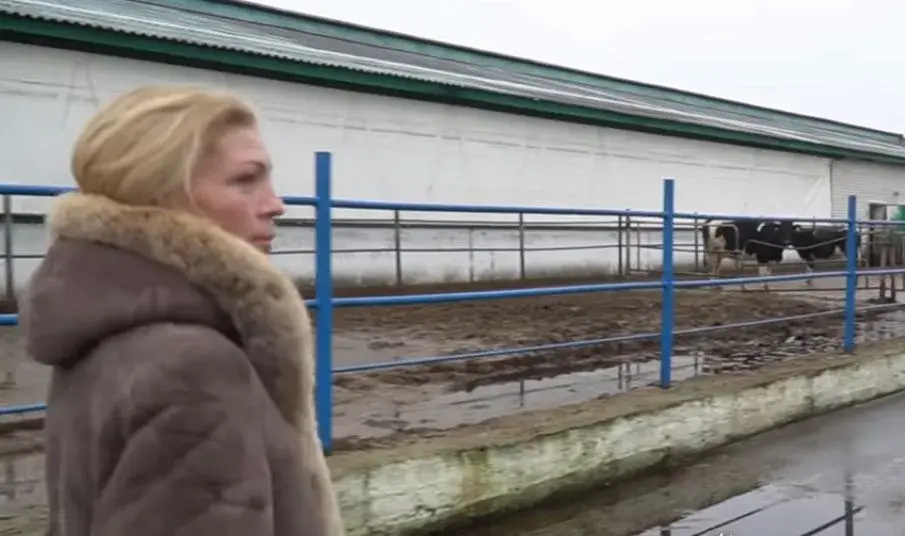 Наталья Гусева на ферме колхоза «Заря». Кадр из видео «Радыё Свабода»
