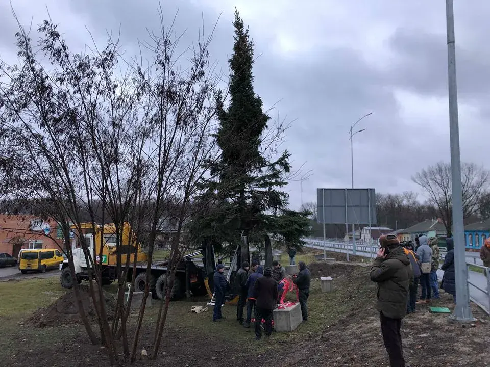 22.01.2020. Пересадка взрослых деревьев. Чернигов, Украина. Фото: «Високий вал»