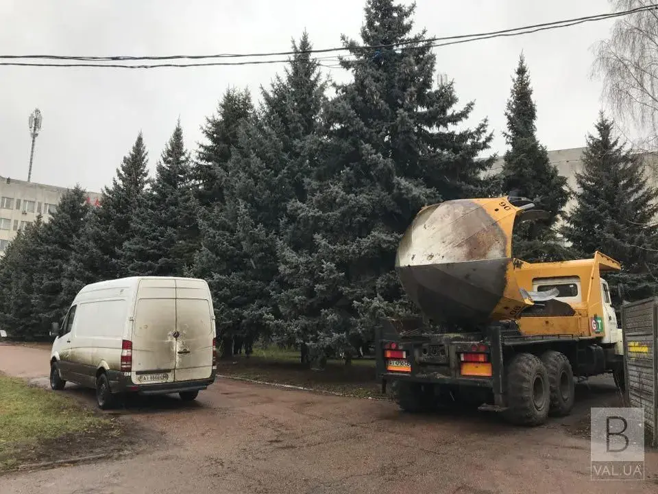 22.01.2020, Чернигов, Украина. Еловый сквер в центре города на месте будущей стройки. Фото: «Високий вал»