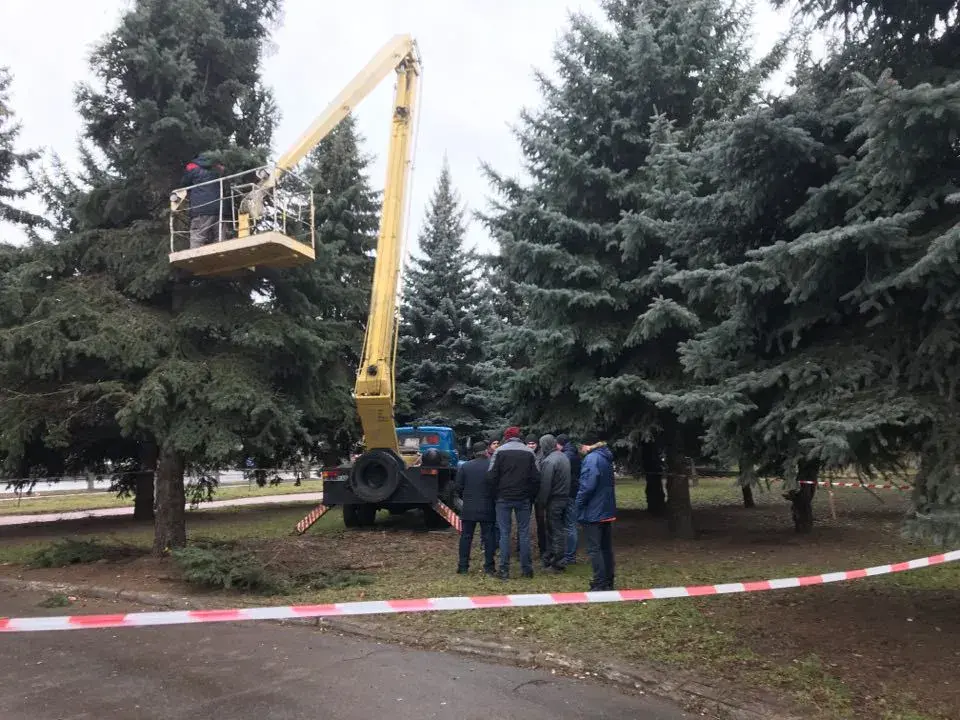 22.01.2020, Чернигов, Украина. Четыре дерева из сквера мешают строительству. Фото: «Високий вал»