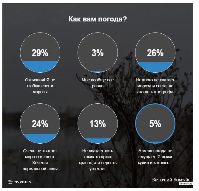 27.01.2020, итоги опроса об отношении к погоде.