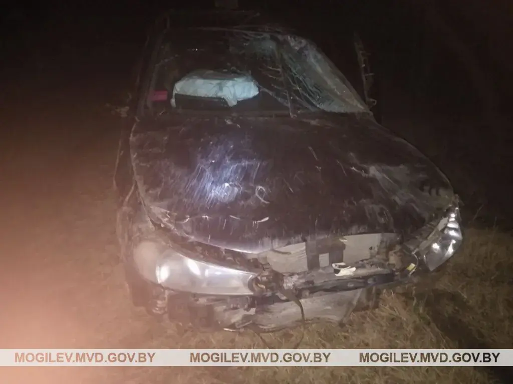Фото: УВД Могилевского облисполкома.