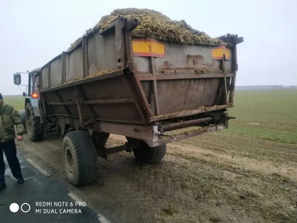 Фото: УВД Могилевского облисполкома