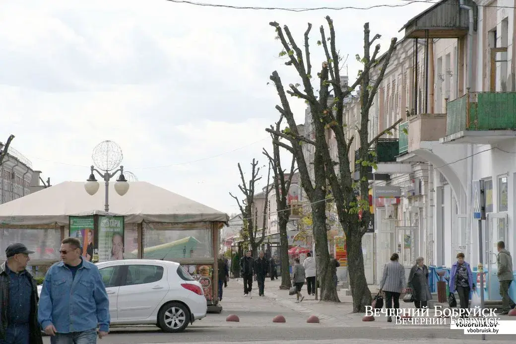 ул. Социалистическая в Бобруйске