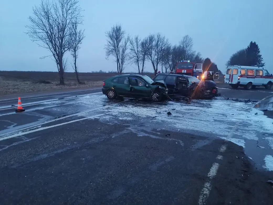 22.02.2020. Три человека пострадали в лобовом столкновении под Оршей. Фото: УГАИ УВД Витебского облисполкома