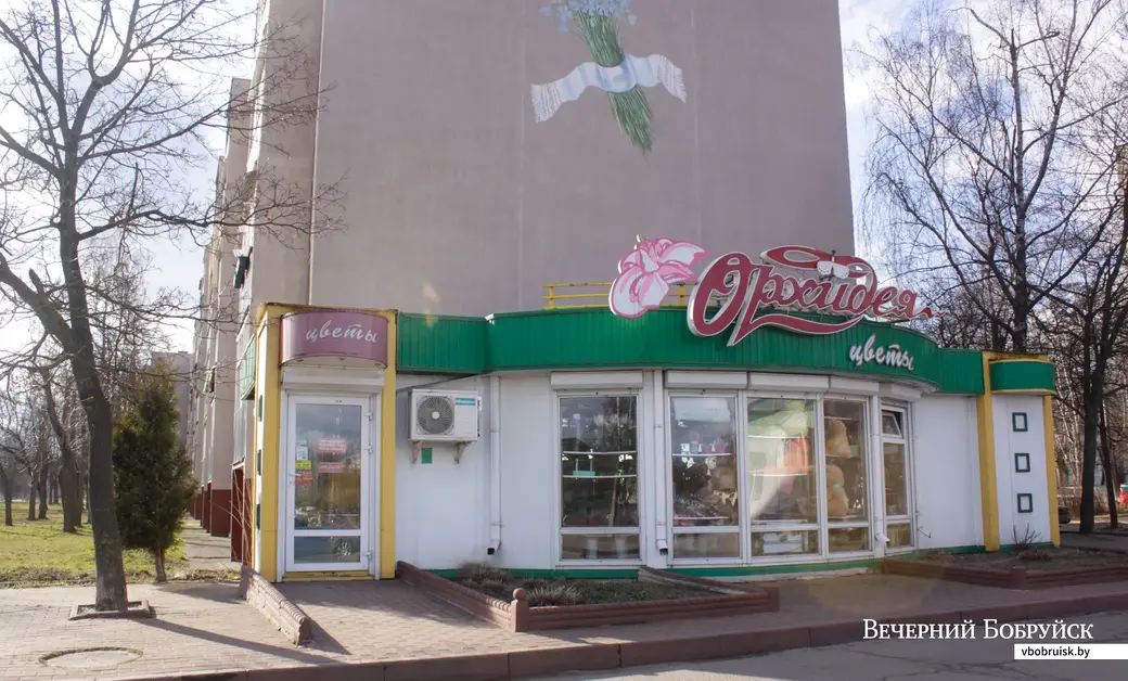 Сеть цветочных магазинов «Орхидея» в Бобруйске.