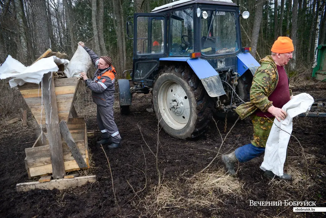 09.03.2020. Благородные олени находятся на передержке в вольере Бобруйской районной организационной структуры РГОО «Белорусское общество охотников и рыболовов»