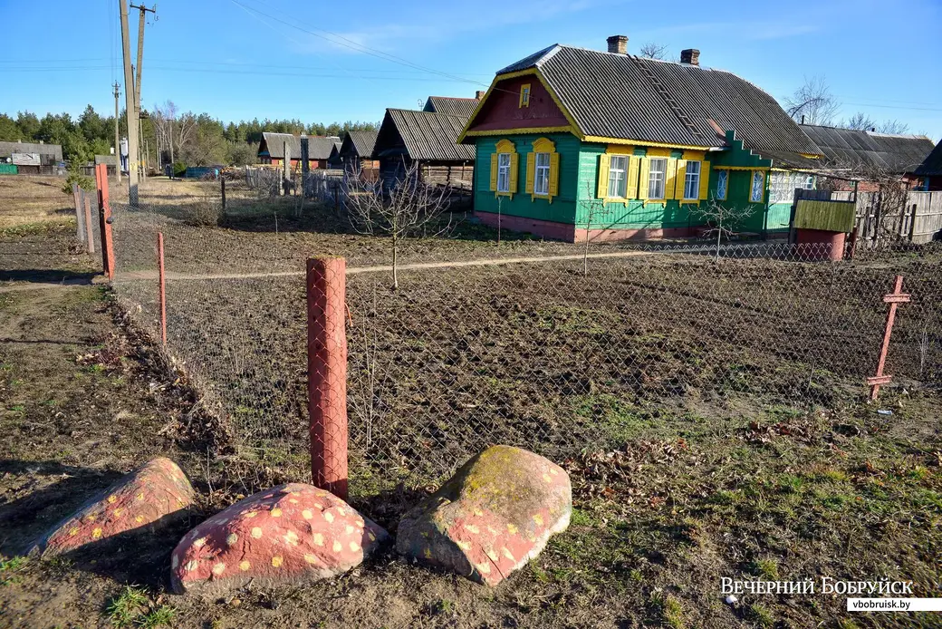 12.03.2020. Галина (Алла) Сергеевна Ткач (72) из деревни Мачулки Бобруйского района печет хлеб в печи по традиционному рецепту