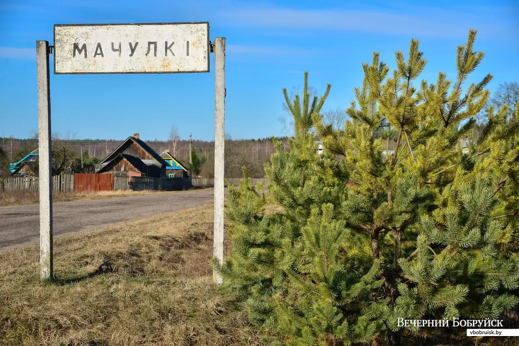 12.03.2020. Галина (Алла) Сергеевна Ткач (72) из деревни Мачулки Бобруйского района печет хлеб в печи по традиционному рецепту