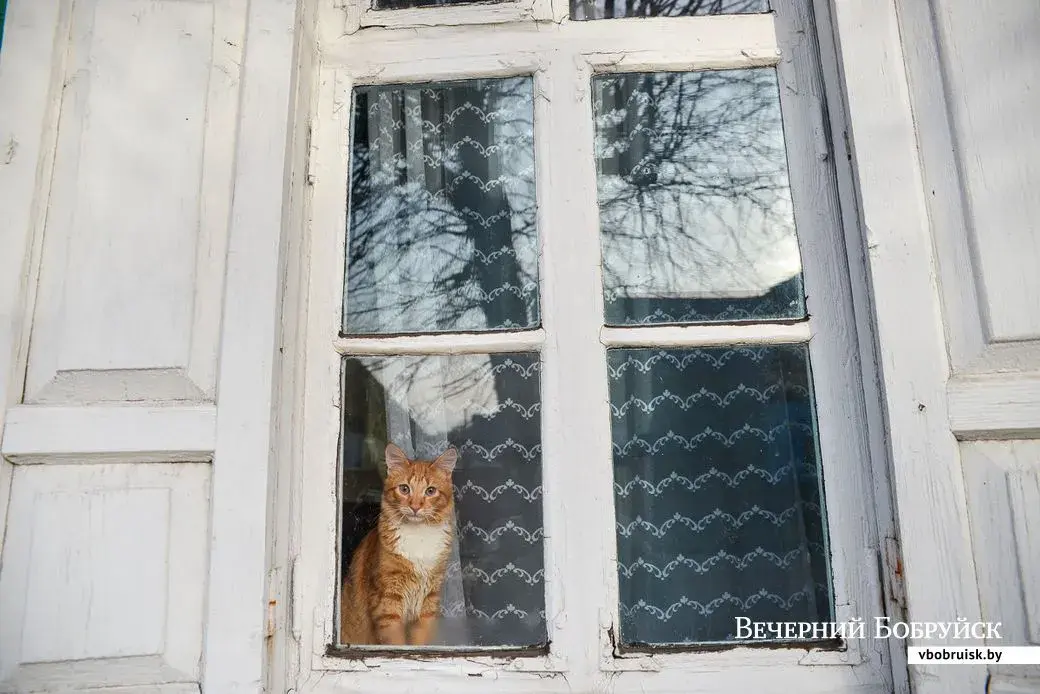 Фото иллюстративное, из архива «ВБ»