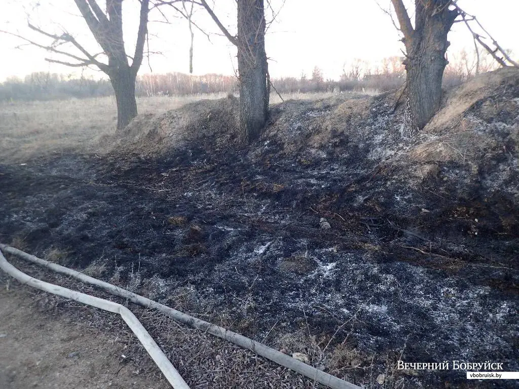 25.03.2020. Пожар на ул. Березинской, Бобруйск. Фото БГРОЧС.
