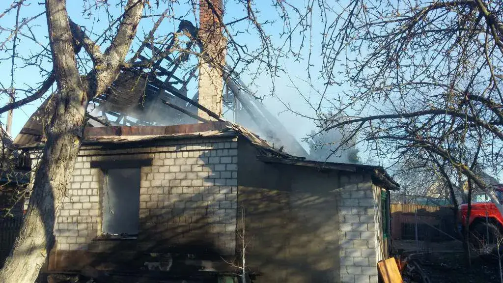 24.03.2020. Пожар в СТ «Педагог» Химовского с/с Бобруйского района.