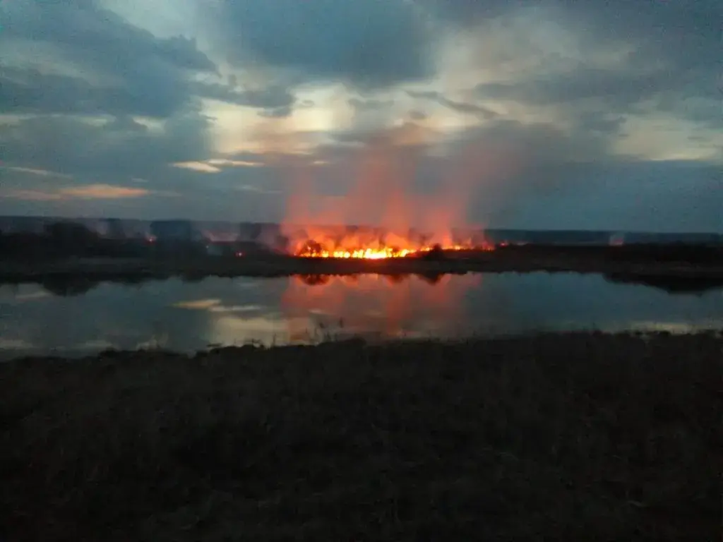 28.03.2020. В Мозырском районе жгли траву – уничтожены пять домов и три хозпостройки. Фото МЧС