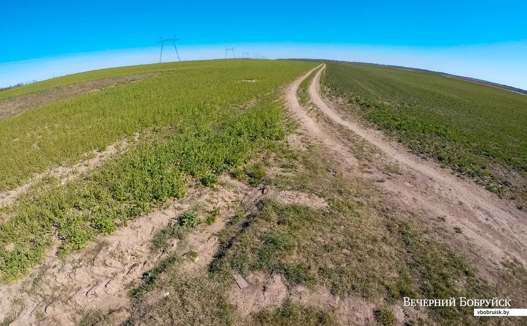 Географический центр Беларуси находится здесь