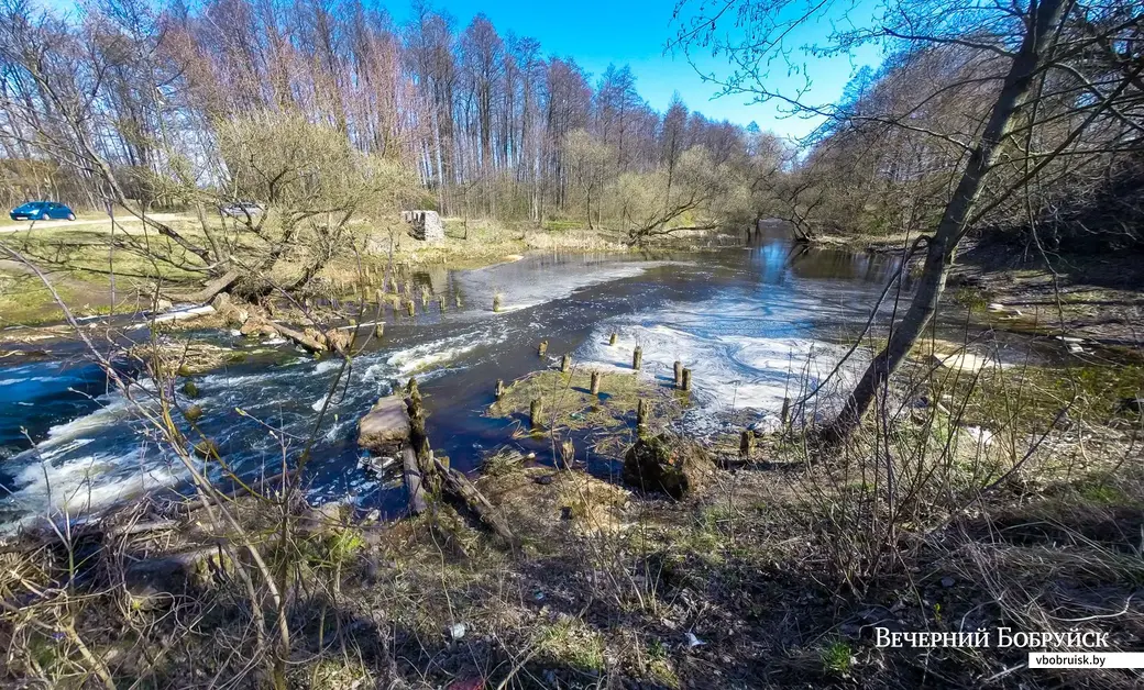 Плотина старой мельницы на реке Титовка в Марьиной Горке