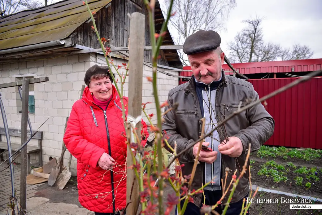 16.04.2020. Растениеводы Надежда и Сергей Старых с улицы Кирпичной.