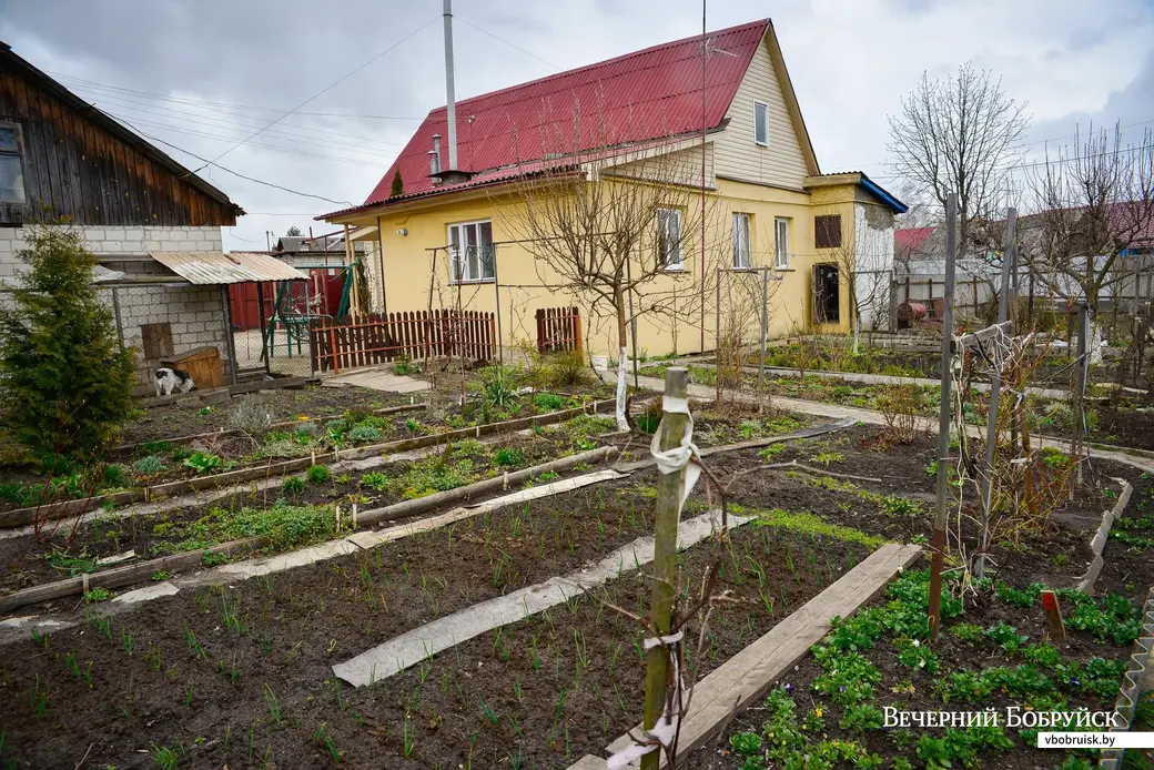 16.04.2020. Усадьба Надежды и Сергея Старых на улице Кирпичной.
