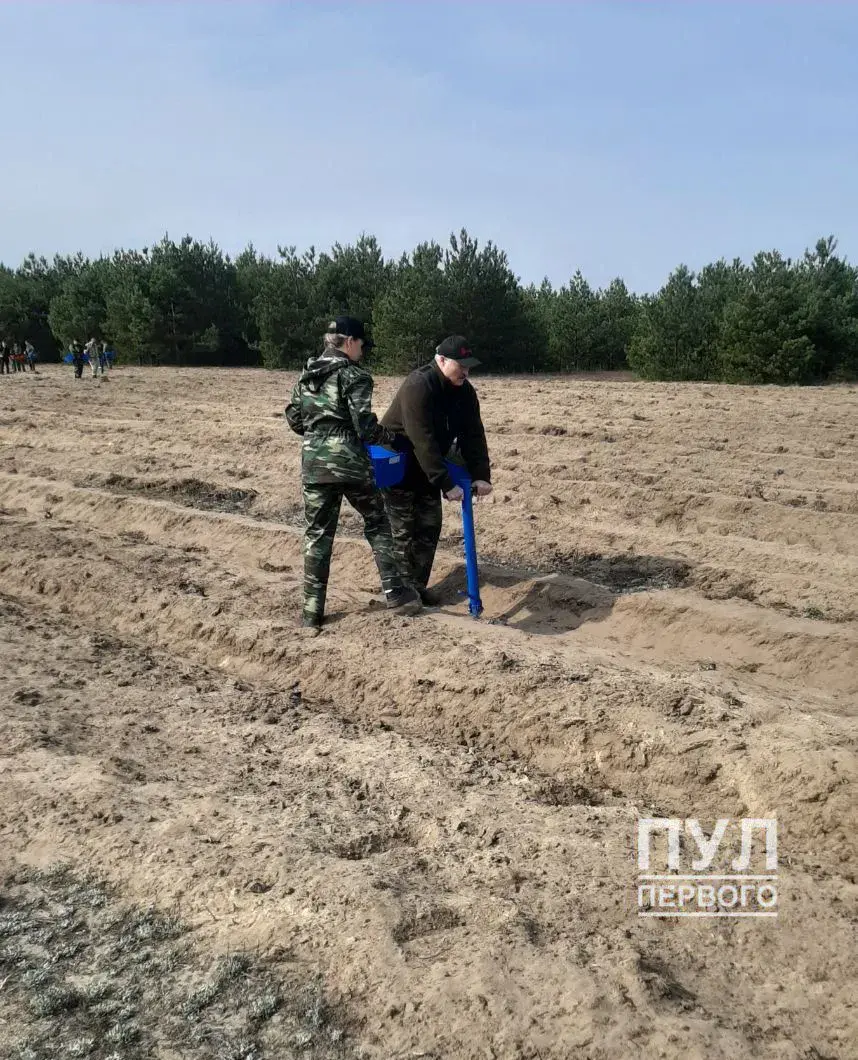 25.04.2020. Александр Лукашенко на субботнике высаживает лет. Фото: «Пул Первого»