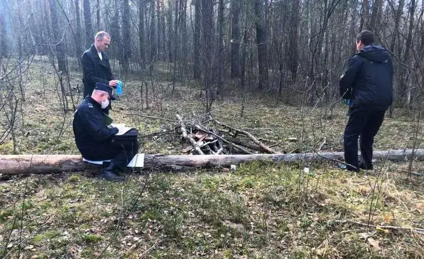 Следователи работают в лесу в Калинковичском районе, на месте происшествия