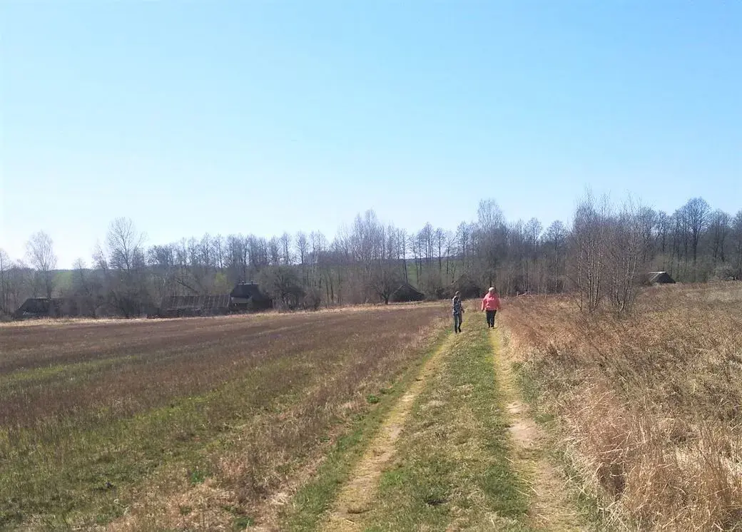 Дорога в деревню Галузы Чаусского района. Сейчас здесь проживают всего пять стариков-одиночек.